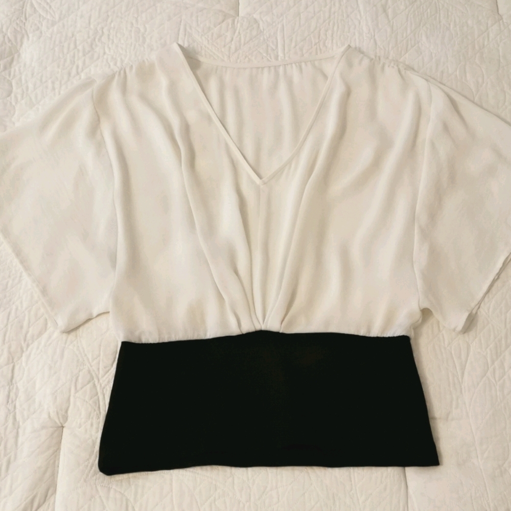 Zara v-neck butterfly sleeve silk top